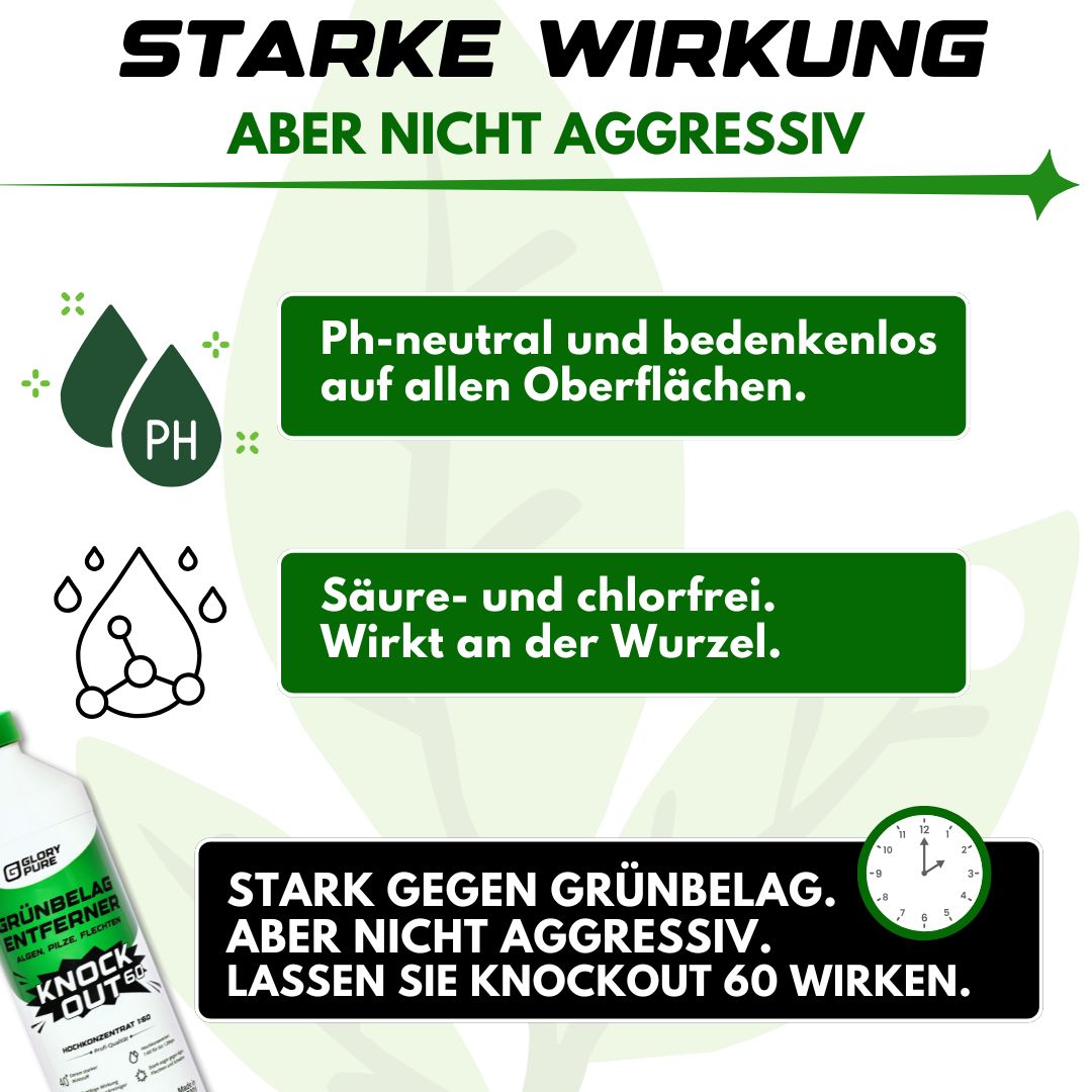 Grünbelag-Entferner KNOCK-OUT 60