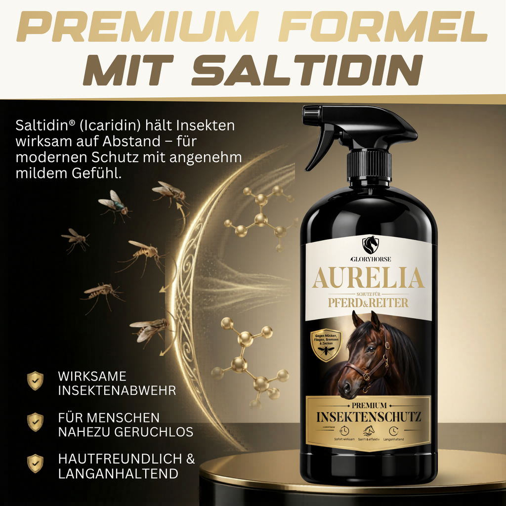 GLORYHORSE AURELIA