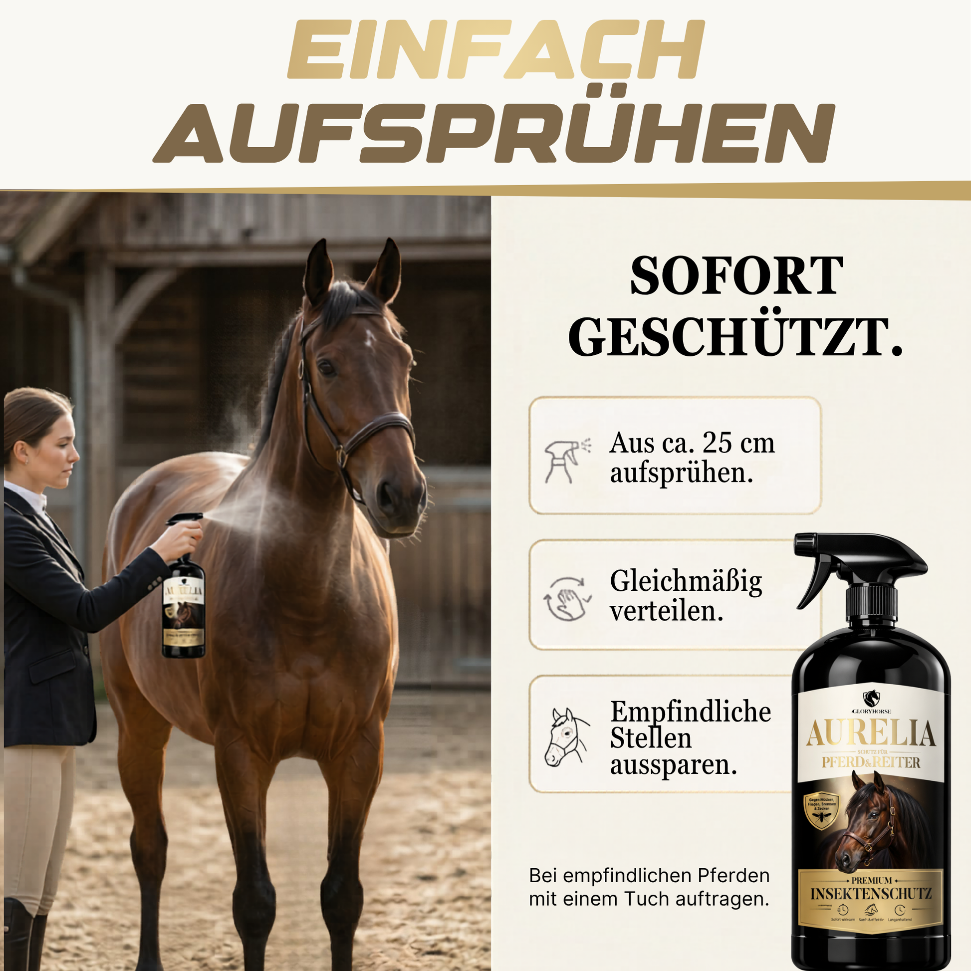 GLORYHORSE AURELIA