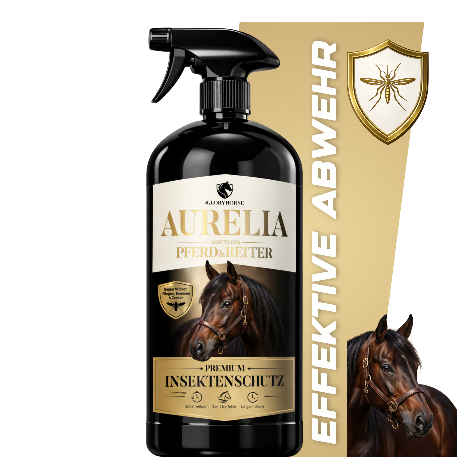 GLORYHORSE AURELIA