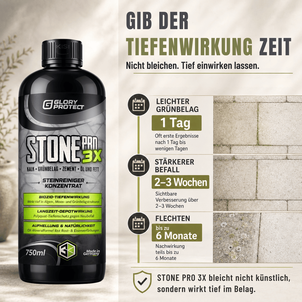 STEIN-REINIGER STONE PRO 3X