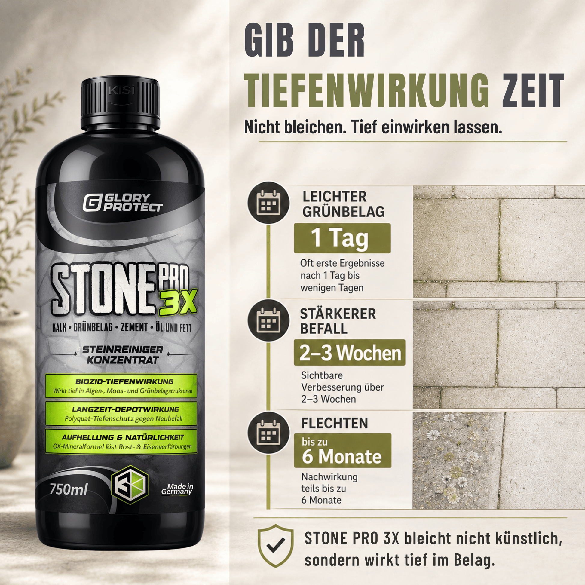 STEIN-REINIGER STONE PRO 3X